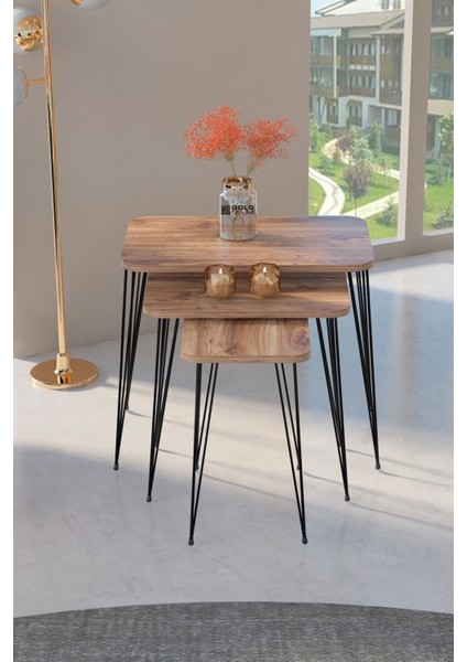 Zigon Sehpa Kr ve Orta Sehpa Kr Set Siyah Ayak Ceviz Tel modelleri