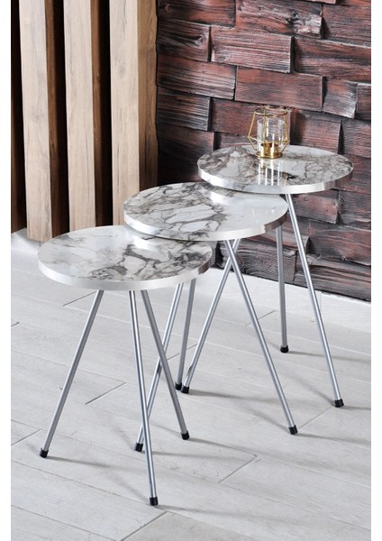 Zigon Sehpa ve Orta Sehpa Elips Gümüş Metal Ayak Gümüş Efes Set