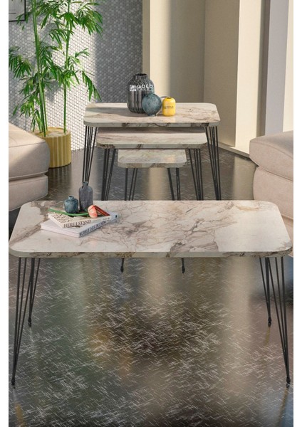 Zigon Sehpa Kr Ve Orta Sehpa Kr Set Siyah Ayak Efes Tel 1103 fiyatları