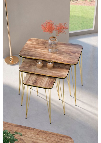 Zigon Sehpa Kr ve Orta Sehpa Kr Set Çift Gold Ceviz Tel 1110 fiyatları