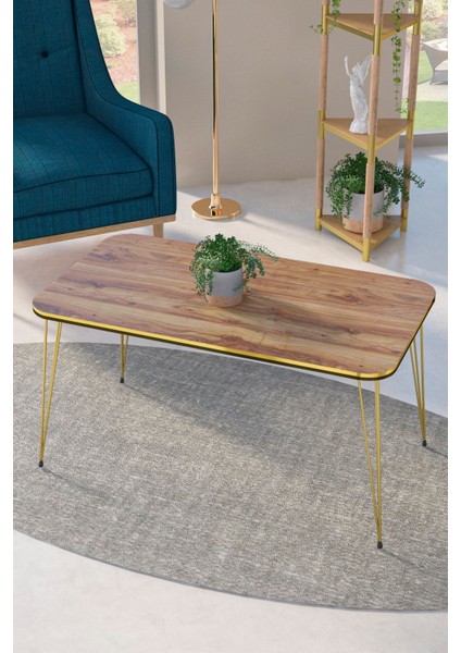 Zigon Sehpa Kr ve Orta Sehpa Kr Set Çift Gold Ceviz Tel 1110 modelleri