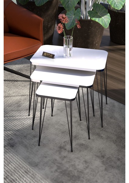 Zigon Sehpa Kr ve Orta Sehpa Kr Set Gümüş Beyaz Tel Ayak Siyah fiyatları