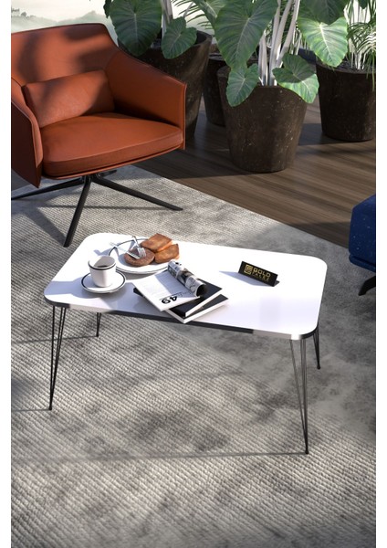 Zigon Sehpa Kr ve Orta Sehpa Kr Set Gümüş Beyaz Tel Ayak Siyah modelleri