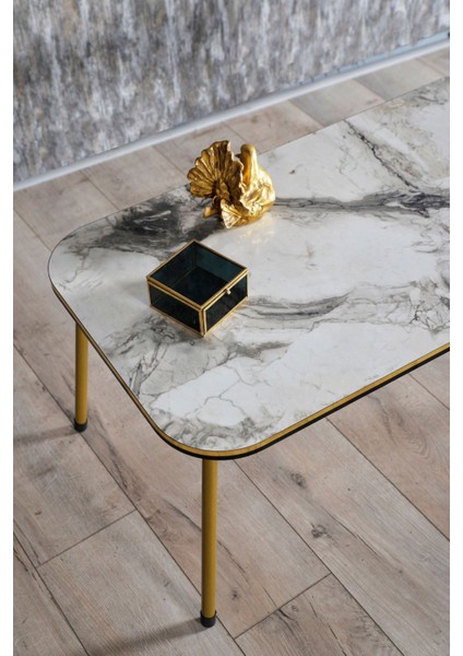 Zigon Sehpa Ve Orta Sehpa Kr Set Çift Gold Efes Metal fırsatları