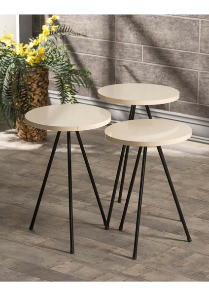 Zigon Sehpa ve Orta Sehpa Set Kr Metal Krem modelleri