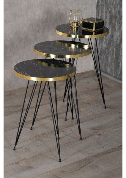 Zigon Sehpa ve Orta Sehpa Elips Set Siyah Ayak Altın Bendir Tel modelleri