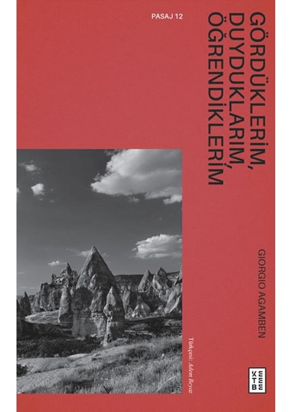 Gördüklerim, Duyduklarım, Öğrendiklerim - Giorgio Agamben