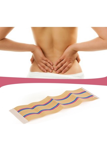 Waist Trimmer Renkli - Xl Alithestereo