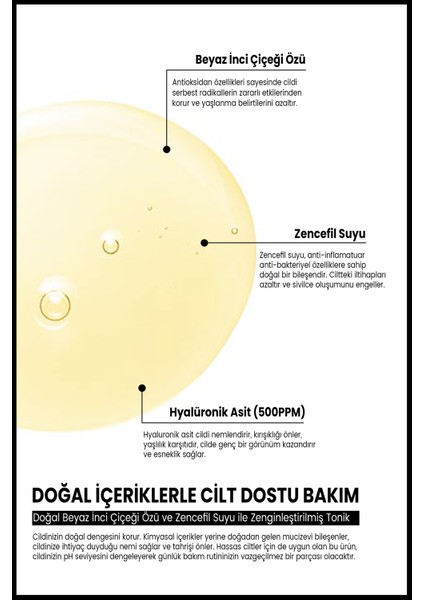 Yağlı,Akne Sivilceye Eğilimli Ciltler için Beyaz İnci Çiçeği Özlü Zencefil Suyu İçeren Tonik 150 ml