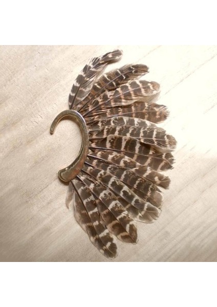 Kahverengi Tarzı Vintage Benzersiz 1 Adet Sol Kulak Klipsli Küpe Cinsiyetsiz Büyük Tüy Kulak Manşeti Deliksiz Altın Kaplama Küpe Kadın Erkek Takı (Yurt Dışından) indirimleri