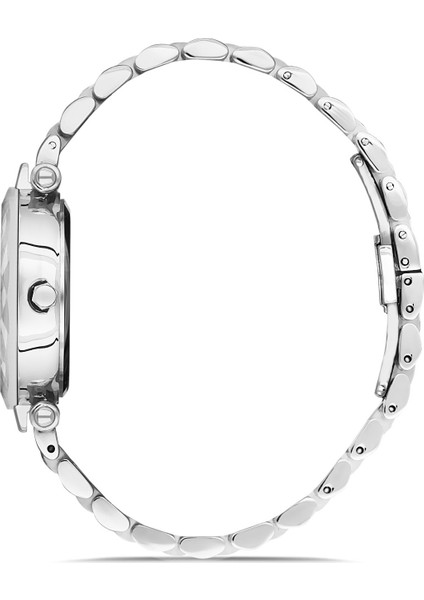 Davıd Guner Gümüş Kadranlı Gümüş Kaplama Paslanmaz Masif Çelik Kordonlu Kadın Kol Saati fiyatları