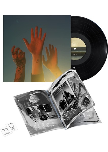 Boygenius / The Record (Plak)