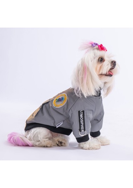 Astrodog Gri Reflöktörlü Kumaş Yağmurluk Küçük ve Orta Irk modelleri