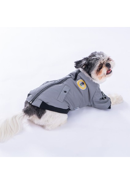 Astrodog Gri Reflöktörlü Kumaş Yağmurluk Küçük ve Orta Irk fırsatları