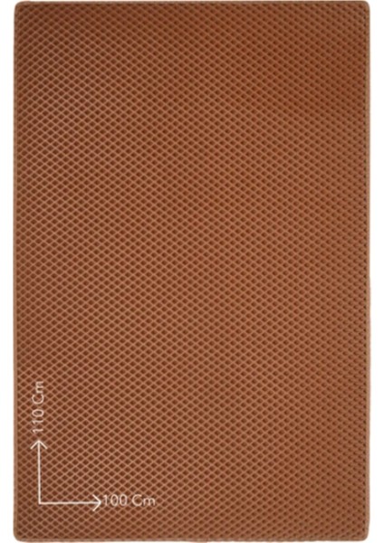 Special Matt (100X110 Cm) Kedi Tuvalet Önü Paspası Kedi Kumu Paspası Kedi Matı fiyatları