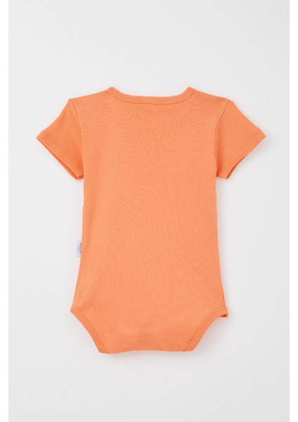 Erkek Bebek Çıtçıtlı Zıbın Body Basic 9 Ay-3 Yaş, Somon fiyatları