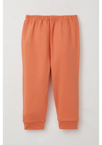 Kız Bebek Pijama Takımı Meyve Desenli 4 Ay-1 Yaş, Buz Mavisi