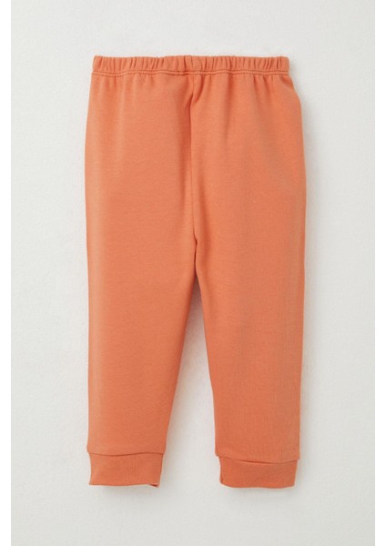 Kız Bebek Pijama Takımı Meyve Desenli 4 Ay-1 Yaş, Buz Mavisi