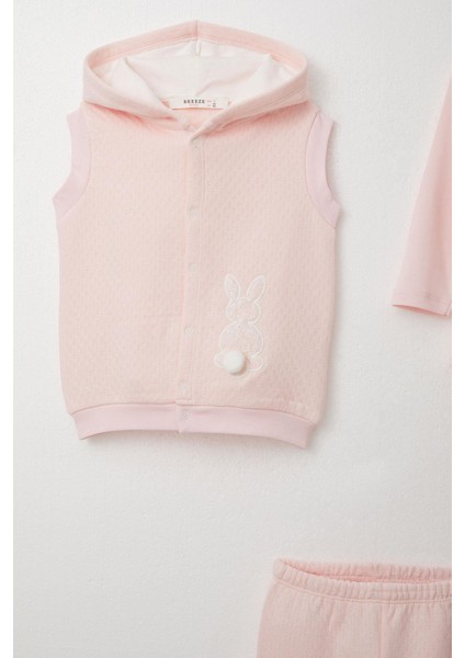 Kız Bebek Zıbınlı 3 Lü Takım Tavşancık Nakışlı Ponponlu Kapüşonlu 4 Ay-1 Yaş, Pudra modelleri