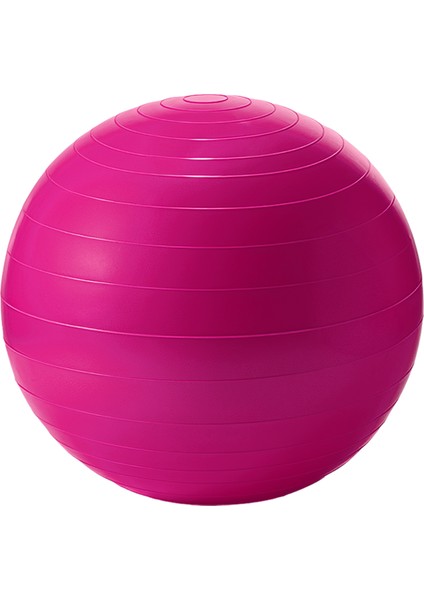 Yoga Pilates Egzersiz Topu 65CM – Sağlam, Dayanıklı ve Hava Pompası Dahil fiyatları