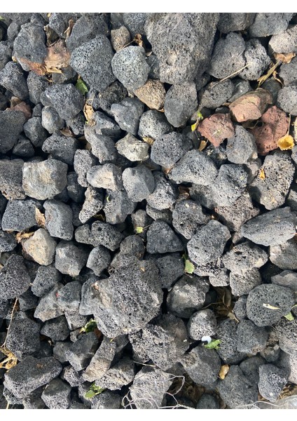 Lav Kayası 4 Adet 5-7 cm - Akvaryum Dekor Kayasi - Tasi