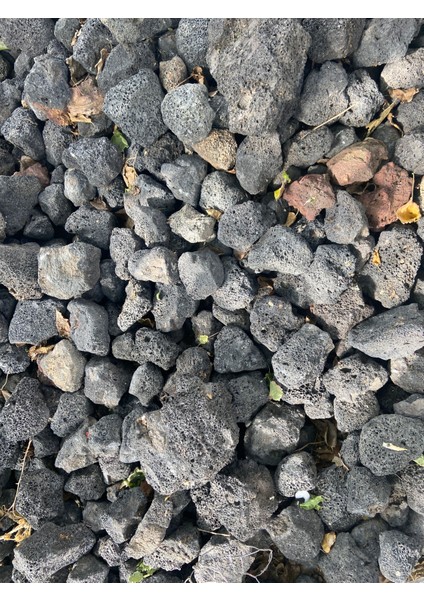 Lav Kayası 4 Adet 5-7 cm - Akvaryum Dekor Kayasi - Tasi