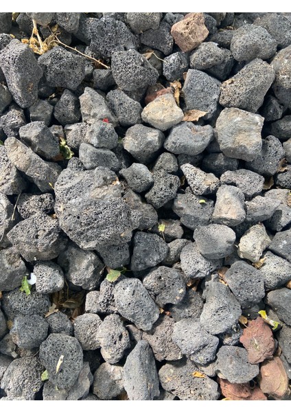 Lav Kayası 4 Adet 5-7 cm - Akvaryum Dekor Kayasi - Tasi