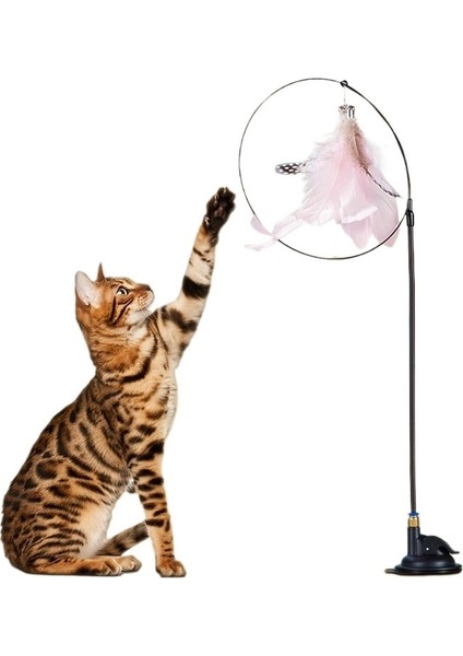 Pet Malzemeleri Kedi Sopa Tüy Kedi Pet Oyuncak Yedek Kafa Bandı Çan Vantuz Ile (Yurt Dışından)