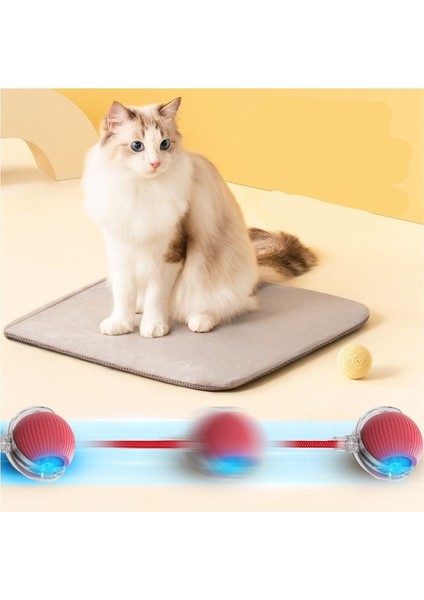Kedi Oyuncağı Top Komik Kedi Yuvarlanan Top Saç Evcil Hayvan Kedi Oyuncağı Evcil Hayvan Oyuncak (Yurt Dışından)