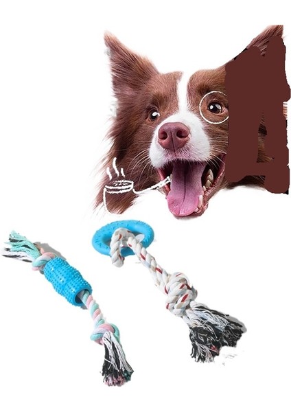 Pet Oyuncak Molar Halat Düğümü Isırmaya Dayanıklı Diş Temizleme Köpek Oyuncak Interaktif Isırık Halat Köpek Oyuncak (Yurt Dışından) fiyatları