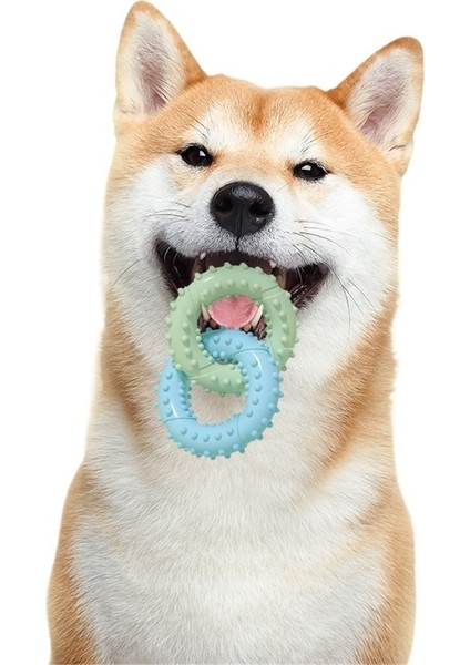 Evcil Hayvan Oyuncakları Çiğneme Dişleri Taşlama Tpr Köpek Oyuncakları Çift Halkalı Köpek Oyuncakları (Yurt Dışından) modelleri