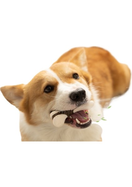 Pet Oyuncak Diş Temizleme Çubuğu Çiğneme Köpek Oyuncak (Yurt Dışından) fırsatları