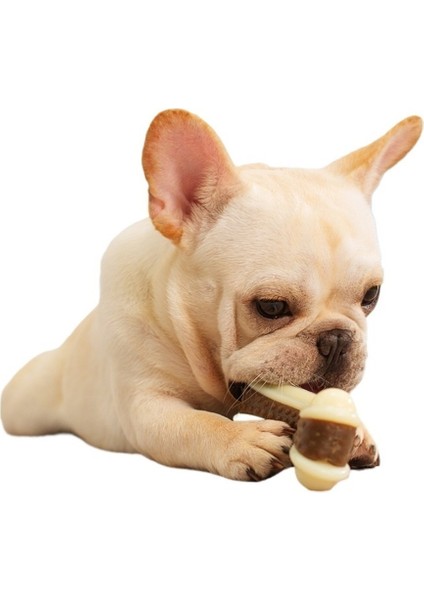 Evcil Hayvan Oyuncakları Diş Çıkarma Kemikleri Çiğnenebilir ve Isırmaya Dayanıklı Köpek Oyuncakları (2'li Paket) (Yurt Dışından) fiyatları