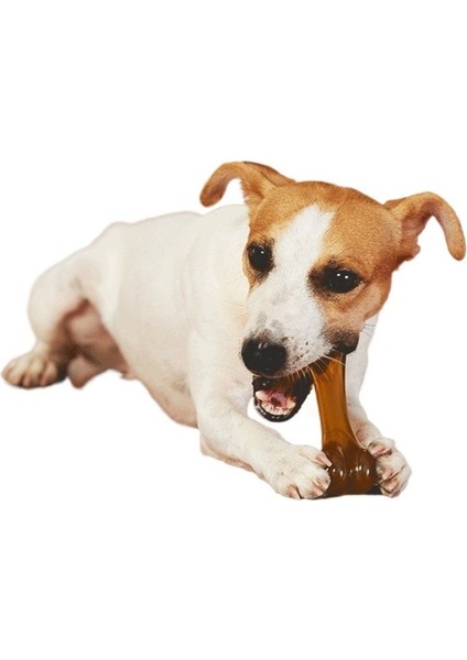 Köpek Oyuncağı Pu Çiğnenebilir Kemik Evcil Hayvan Oyuncak Orta ve Büyük Köpek Çiğnenebilir Evcil Hayvan Oyuncak (Yurt Dışından) modelleri