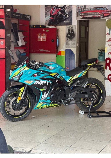 Rks R250 Sticker Shark Jaw's Motosiklet Kaplama Tasarım Modeli fırsatları