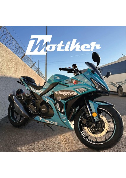 Rks R250 Mavi Shark Köpekbalığı Parçalı Motosiklet Kaplama Modeli