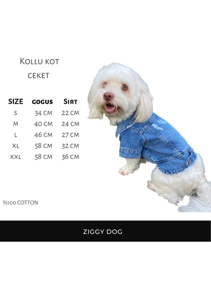 ZIGGYDOG Köpek Kıyafeti Kot Mont Ceket