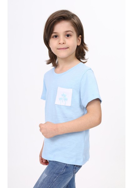 Erkek Çocuk Nakışlı Tişört modelleri