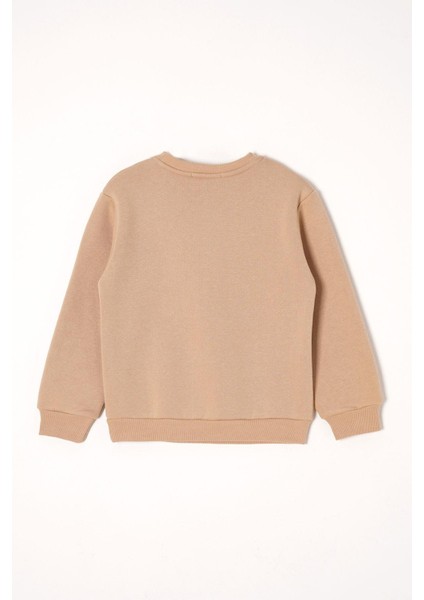 B Baskılı Vizon Renk Erkek Çocuk Eşofman Takım modelleri