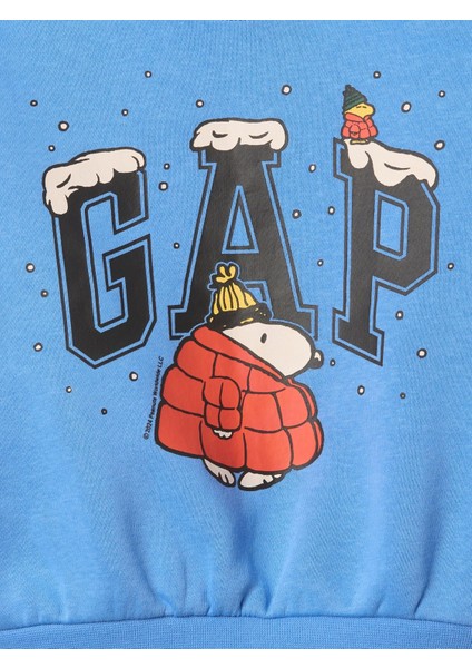 Erkek Bebek Mavi Peanuts Grafikli Fleece Sweatshirt fiyatları