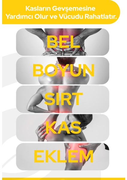 Arı Zehri Özlü Masaj Kremi 100ML