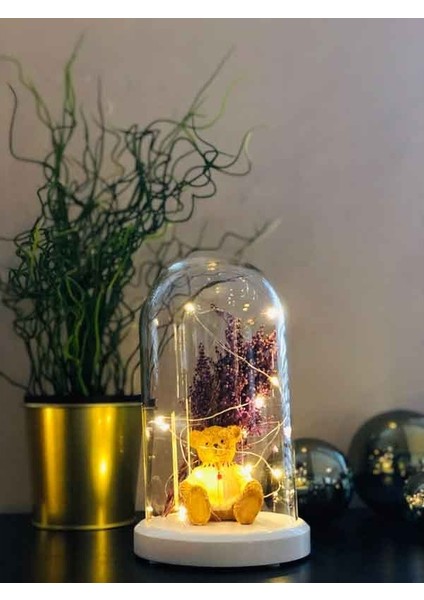 Işıklı Fanus Ayı ve Çiçek Figürlü Lamba Doğum Günü Hediyesi Gece Lambası