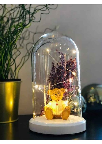 Işıklı Fanus Ayı ve Çiçek Figürlü Lamba Doğum Günü Hediyesi Gece Lambası