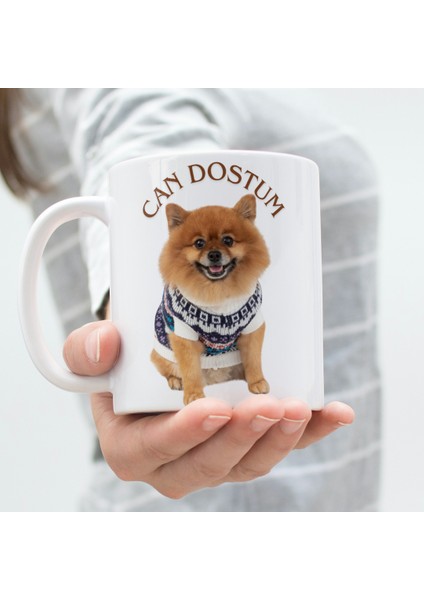 Pomeranian Köpek Baskılı Kupa Bardak