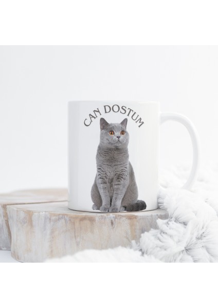 British Kedi Baskılı Kupa Bardak