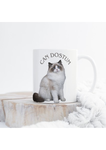 Ragdoll Kedi Baskılı Kupa Bardak