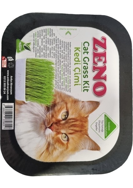 Kutulu Kedi Çimi
