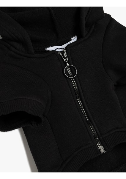 Kapüşonlu Fermuarlı Köpek Sweatshirtü modelleri