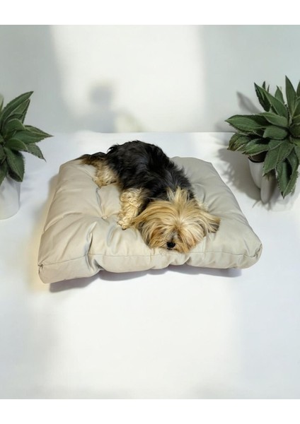 Pouf White Kedi Köpek Minderi 70 x 80 cm