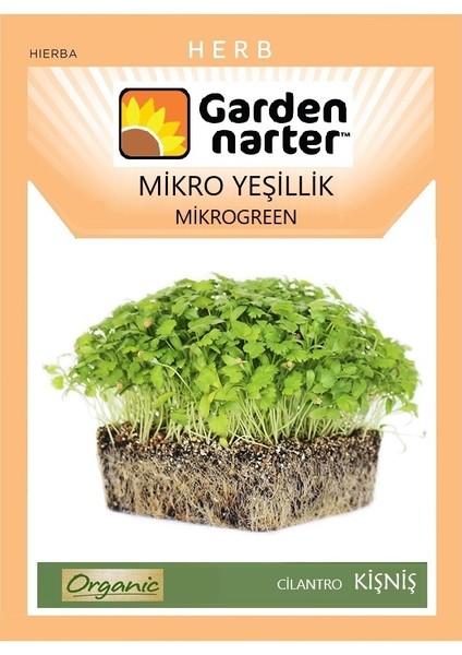 Garden Narter Mikro Yeşillikler İçin Microgreen Organik Kişniş Tohumu 15 gr 1500 Tohum